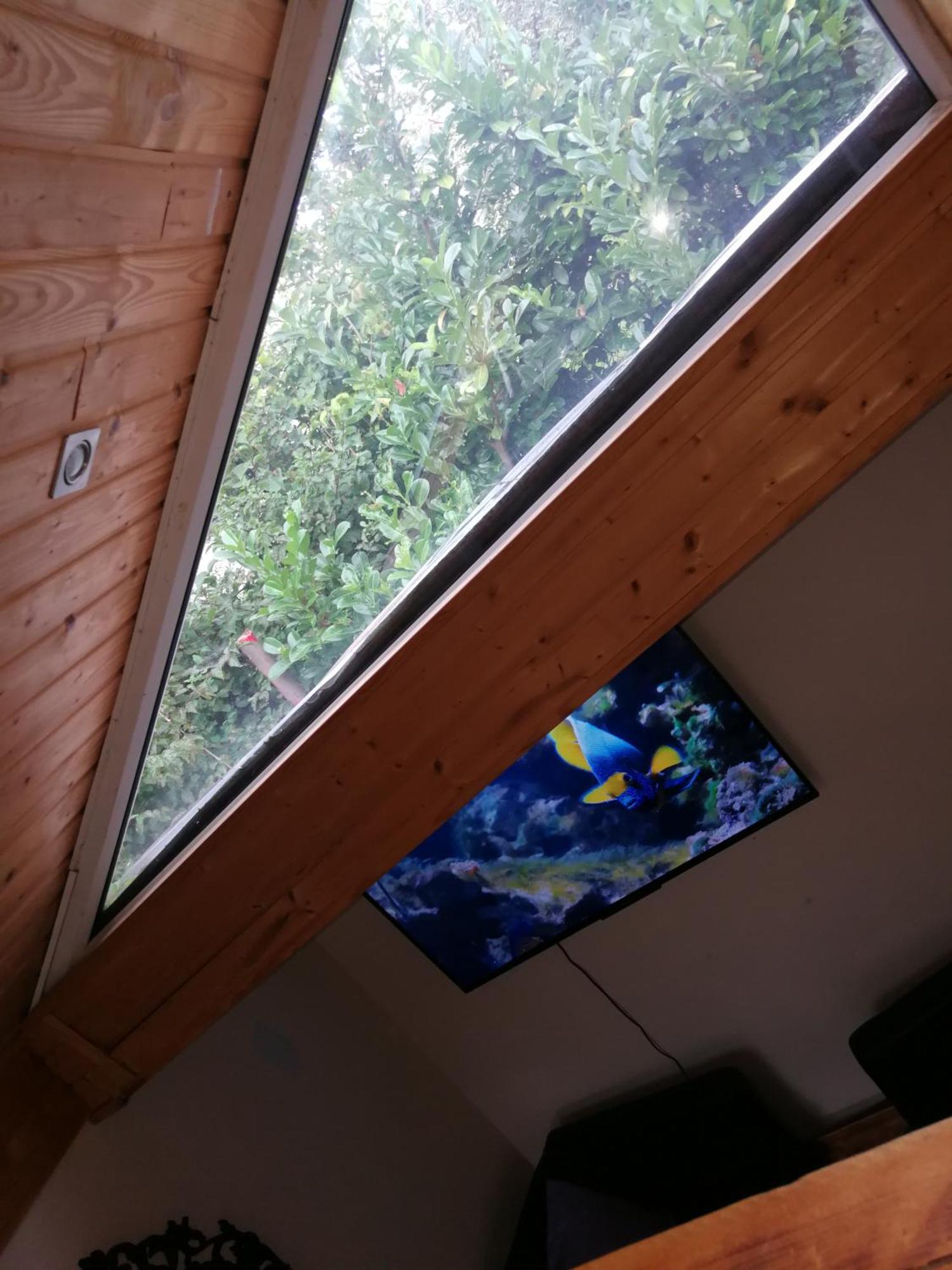 Wohlfuehloase - Zimmer, - Im Herzen Starnbergs * Starnberg