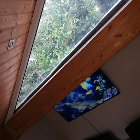 Wohlfuehloase - Zimmer, Appartment - Im Herzen Starnbergs Værelse billede
